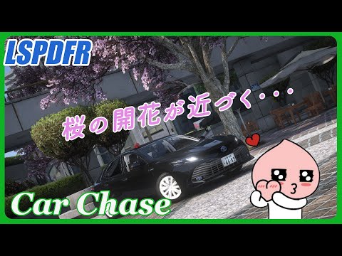 GTA 5 - LSPDFR - Car Chase - #Ep.13