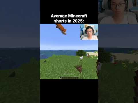 Minecraft Shorts Moment