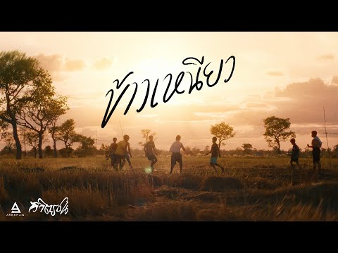 ข้าวเหนียว - วิจิตรชน |Official MV|