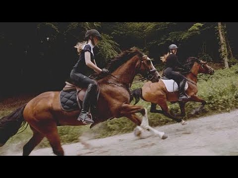 One Call || Equestrian music video ||