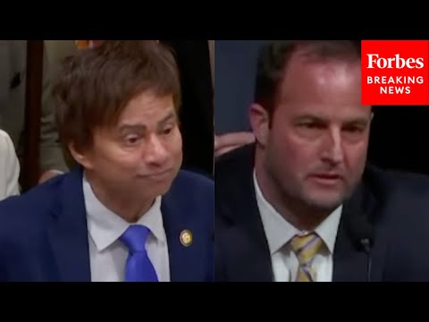 Shri Thanedar To GAO Official: What Effect Will DOGE's 'Sledgehammer' Approach To Downsizing Have?