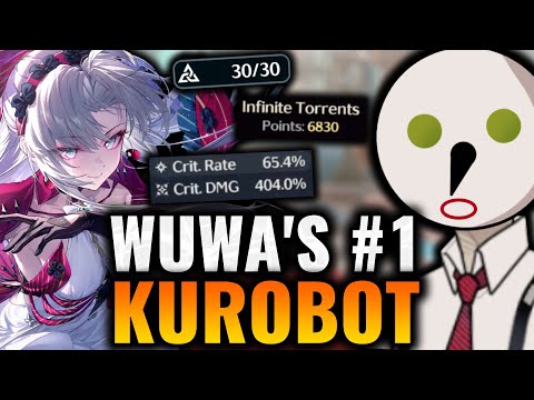 The Best Builds I've Ever Seen | WuWa Account Reviews