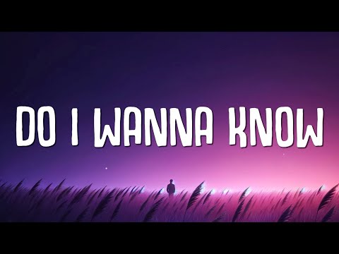 Hozier - Do I Wanna Know (Lyrics)