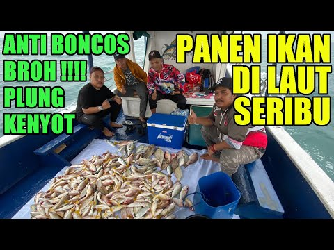 PANEN KAKAP KUNING DI LAUT SERIBU ft Panda Fishing Club