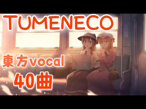 Re: TUMENECO (＆ GET IN THE RING) 東方メドレー【秘封】【リメイク版】【作業用BGM】