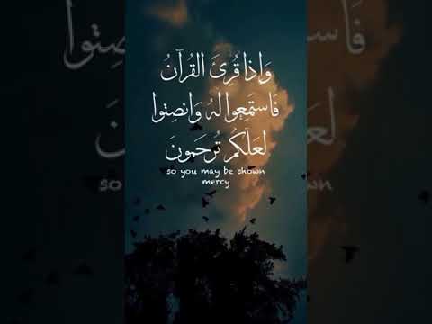 ضع السماعة واستمع الى اجمل تلاوة🥺🕊