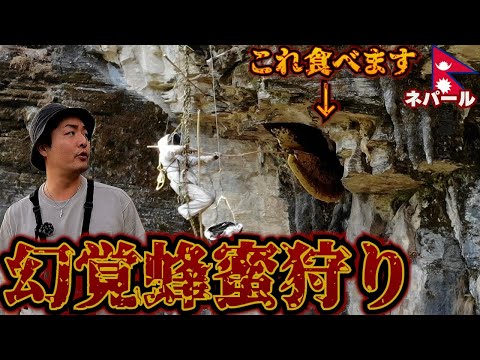 【幻覚ハチミツ】ネパールの奥地にある狂った蜂蜜(マッドハニー)を狩る旅。(前編)inネパール