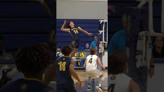 Is this an insane vertical?? #volleyball #collegevolleyball #sportshighlights