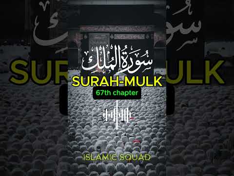 Surah Mulk #quranic#quranverses #alquran #quranic #voiceofdeen #quranic #shorts #viralvideo