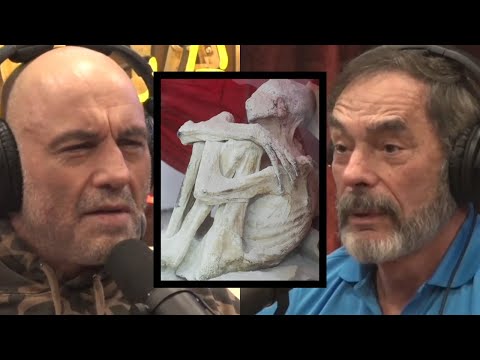 3-fingered ‘alien mummies’ found in Peru | Joe Rogan & Dr. Mark Gordon