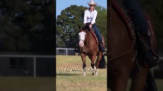 American quarter Horse riding ##womenempowerment #shortsvideo #shorts #quarterhorses #painthorse