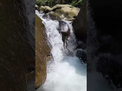 The mountain streams are extremely clear and blue🏞山中溪水極清至碧 #taiwan🇹🇼 #hikingtrail #鳳凰瀑布 #shortvideo