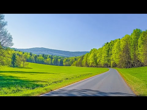 Beautiful Relaxing Music Calm The Mind, Stop Anxiety🌿Healing Music For Nervous System #16