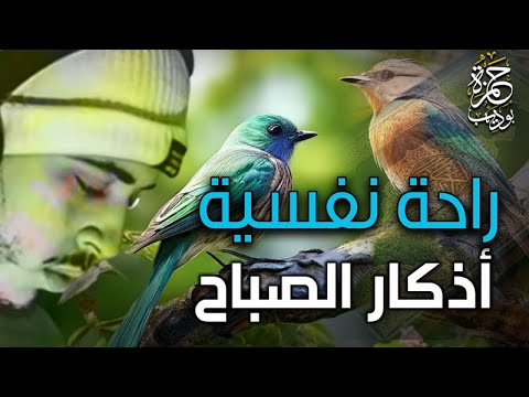 اذكار الصباح راحة نفسية بركة في الرزق تحصين من السحر للقارئ حمزة بوديب