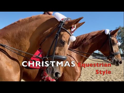 BEAUTIFUL CHRISTMAS HORSES | Christmas! Equestrian Style