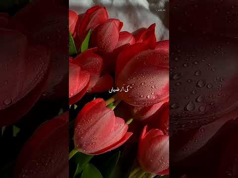 Islam best nazam #arabicmusic #arabic #nature