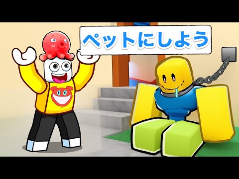 ヌーブをペットにするロブロックスで億万長者になった【 Roblox 】