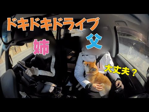 🔰お姉ちゃんの運転でドキドキドライブ柴犬小夏　　舞子公園　三菱デリカ