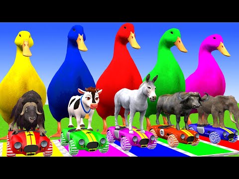 5 Giant Duck Cartoon,Cow,Mammoth,Tiger,Lion,Dinosaur,Paint Wild Animals Crossing Fountain Animation