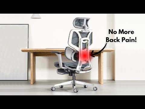 5 Best Office Chairs 2025 - Top Ergonomic Chairs 2025