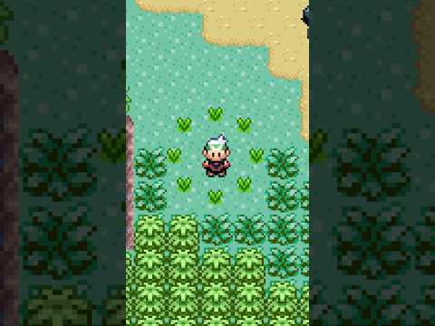 Cool Grass Trick on Pokémon Emerald