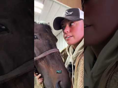 How horse breeding works! 🐴✨ Checking follicles & syncing mares—timing is everything!