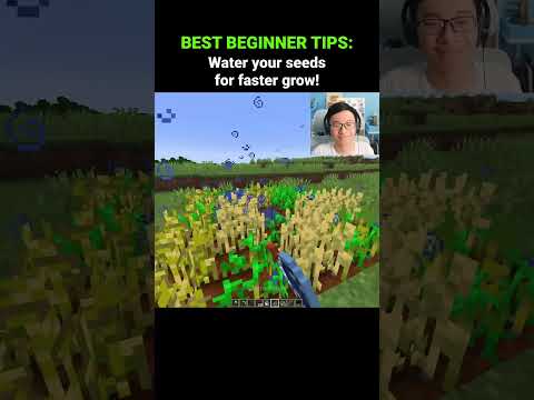 Minecraft Beginner Tips Moment