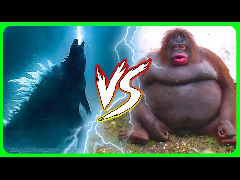 Godzilla vs Kong explained by an idiot