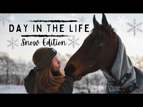 DAY IN THE LIFE: Winter Edition!