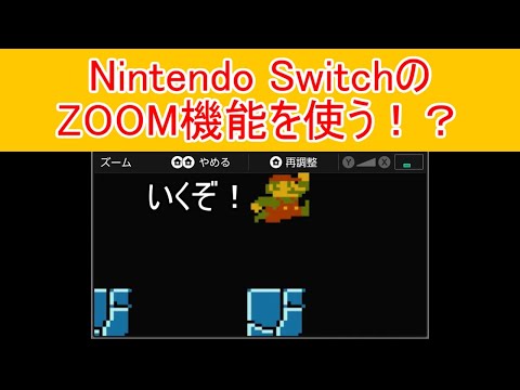 一寸先は闇マリオ#7 Nintendo SwitchのZOOM機能を使う！？ ZOOM MARIO