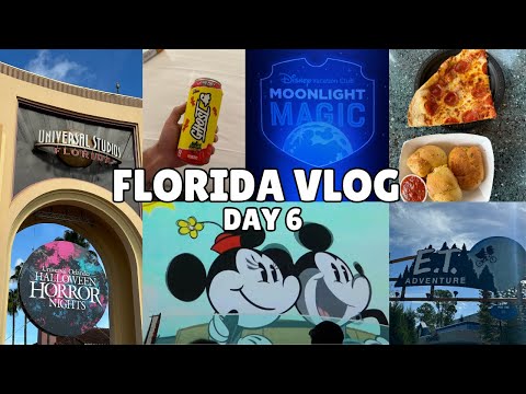 Florida Day 6 / Universal Studios / Moonlight Magic / Hollywood Studios / Best Pizza in Florida