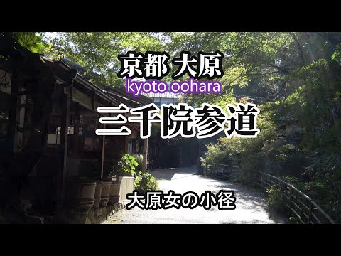 京都 大原 三千院 【朝の参道を歩く】