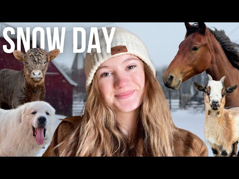 Snow Day on our Small Farm ❄️⛄️