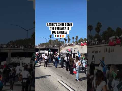 LATINOS SHUT DOWN THE FREEWAY IN LOS ANGELES 🇲🇽 #trending #shorts #losangeles #mexico #fyp #foryou