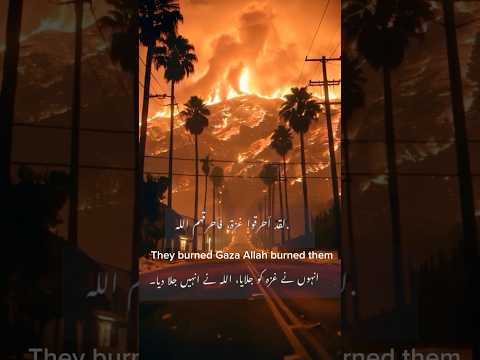 They burned Gaza | Allah reply to Them #california #gaza #quran #islam #haifa