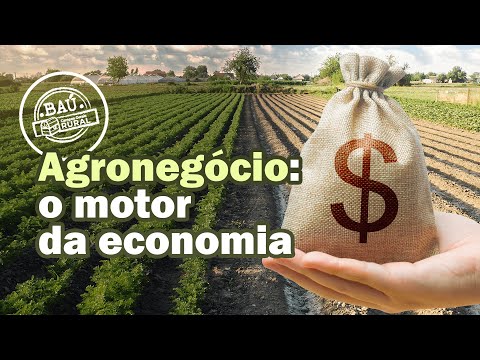 O AGRONEGÓCIO COMO MOTOR DA ECONOMIA NACIONAL #BaúCGRural