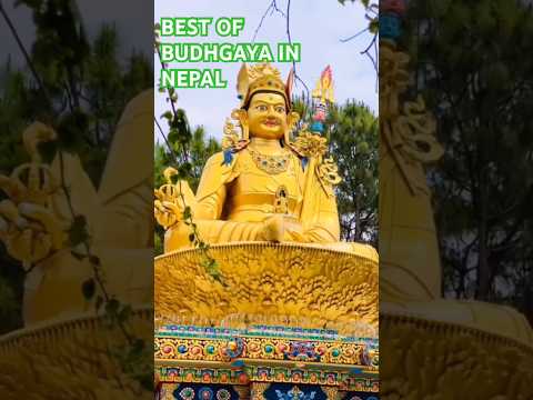 Bodh gaya-complete tour | Best of bodhgaya nepal #shots #bodhgaya #buddah