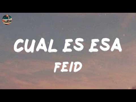 Feid - CUAL ES ESA (lyrics)