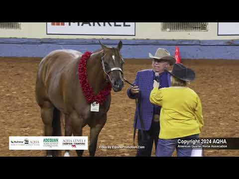 Select 3-Year-Old Geldings