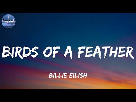 Billie Eilish - BIRDS OF A FEATHER (Lyrics)