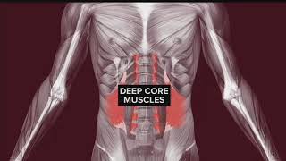 Your Healthy Family: Deep core muscle strength can ease low back pain