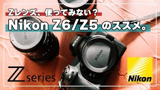 【ニコン】超高性能なZマウントレンズを低予算でお得に楽しむには。いまさら「Nikon Z5」と「Nikon Z6」のススメ。