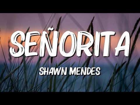 Senorita - Shawn Mendes (Lyrics) || David Kushner , Ava Max... (MixLyrics)