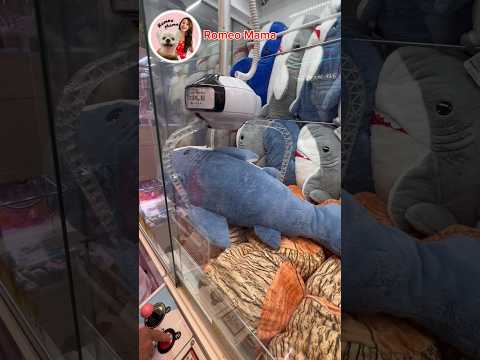 BiGGEST SHARK from claw Machine wins