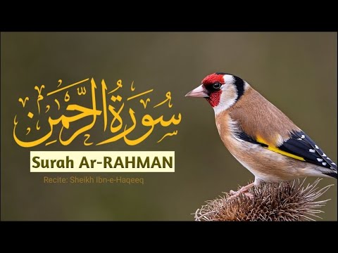 Surah Rahman | Beautiful quran  Recitation By Hafiz Tahir Qadri  سورہ رحمٰن55#surahrehman