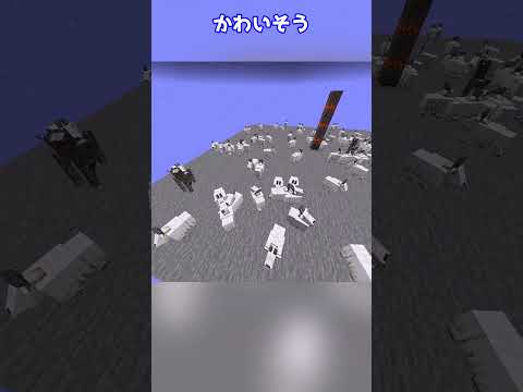 ヤギに吹っ飛ばされまくるクリーキング #shorts #マイクラ #コマンド #マインクラフト  #マイクラコマンド #ゆっくり #ゆっくり解説