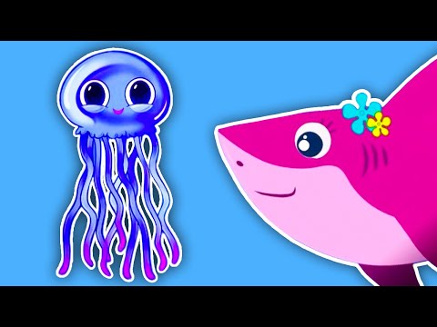 Sea Animal Songs and Games Compilation! Baby Shark & Animal Sound Songs | Kids Learning Videos