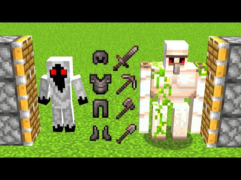 x898 iron golems and Entity 303 and x111 netherite armor combined