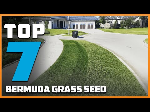 7 Best Bermuda Grass Seed Varieties for a Green Yard