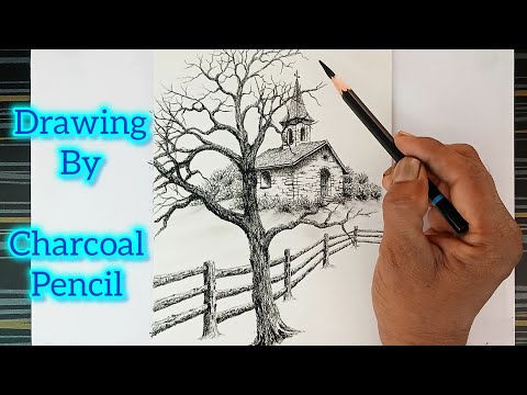 Pencil drawing of dry tree and fence.